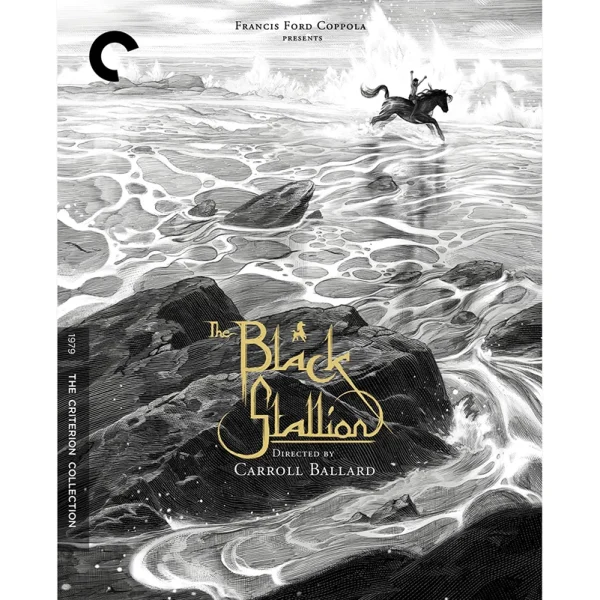 The Black Stallion Blu Ray Criterion Collection