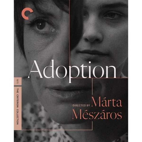 Adoption