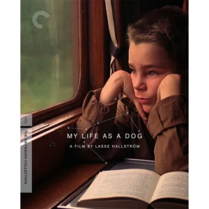 My Life as a Dog Criterion Collection Blu Ray